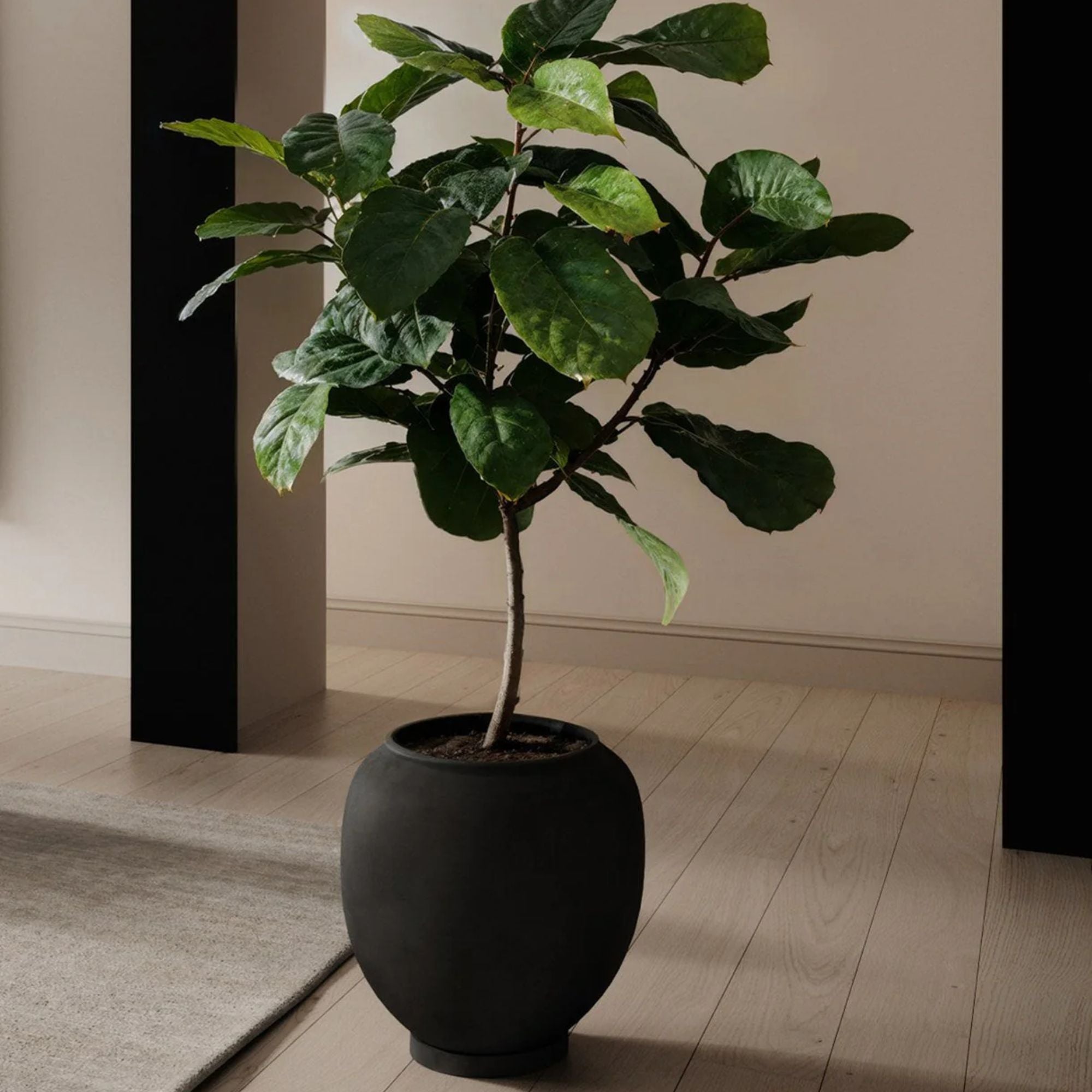 big house plant pots 101 Copenhagen Sunao Vase, Big