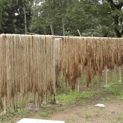 The Jute Fibre & its Benefits