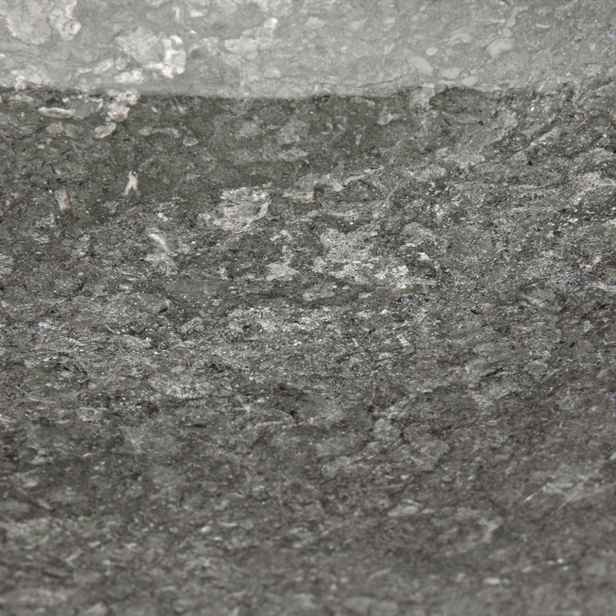 D'Argo Tray