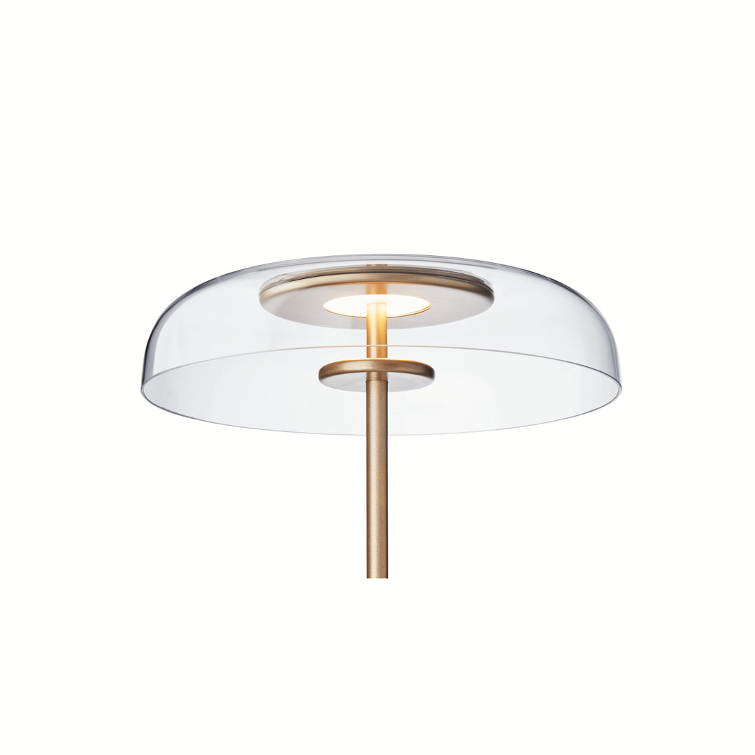 nordic-gold-clear