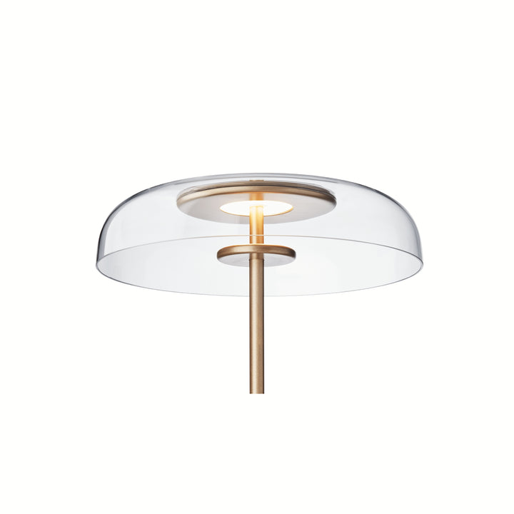 nordic-gold-clear