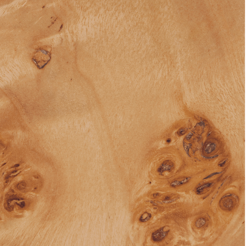 Burl Wood - Natural