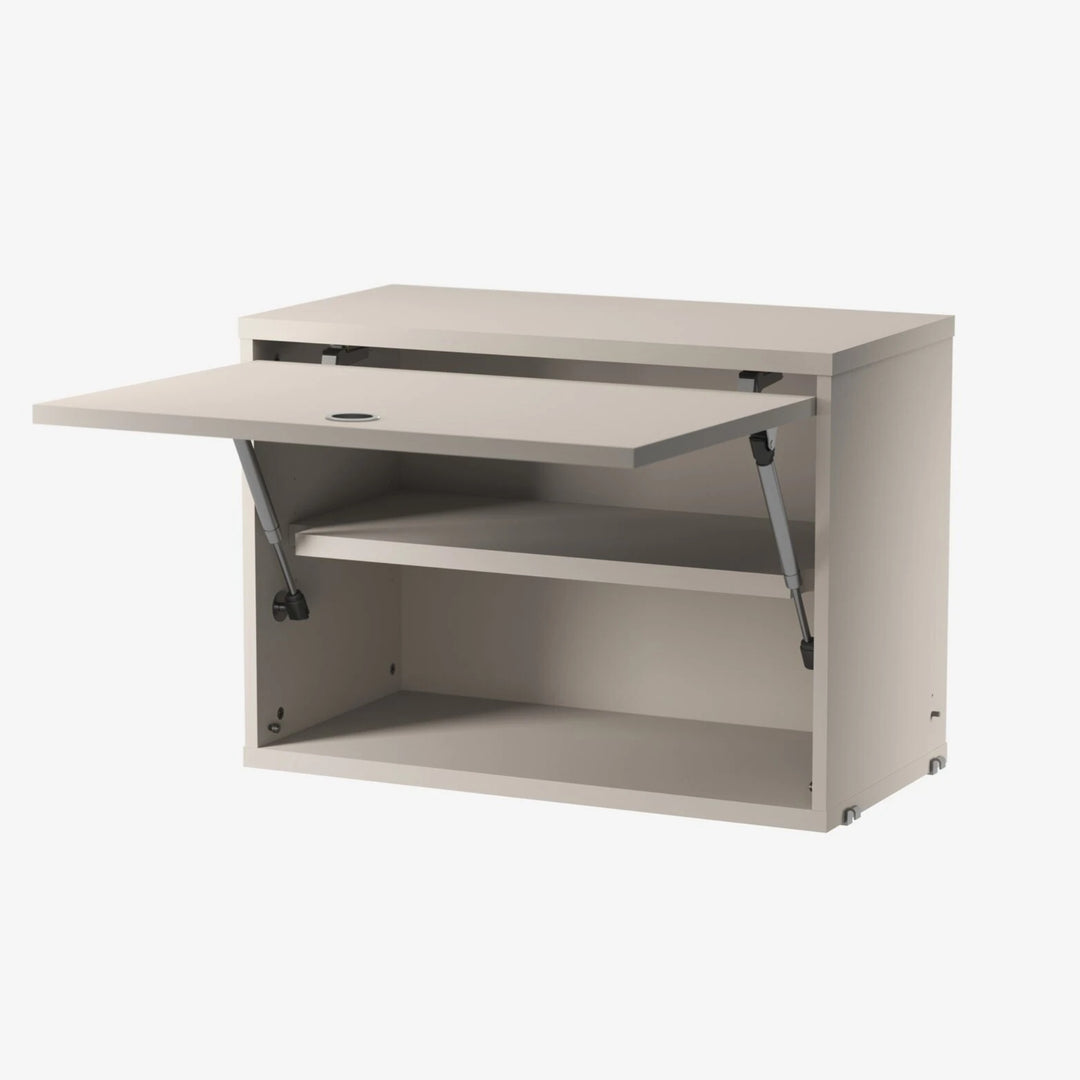 Cabinet with Flip Door