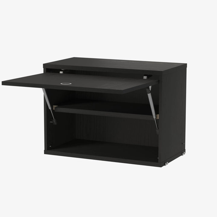 Cabinet with Flip Door