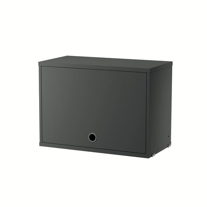 Cabinet with Flip Door