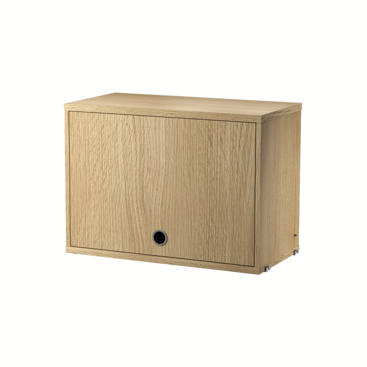 Cabinet with Flip Door