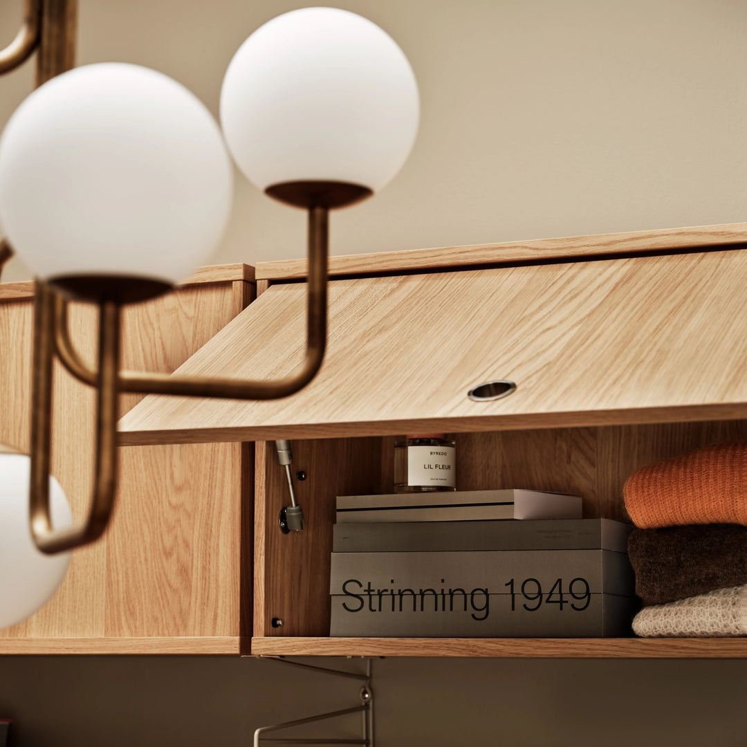 Cabinet with Flip Door