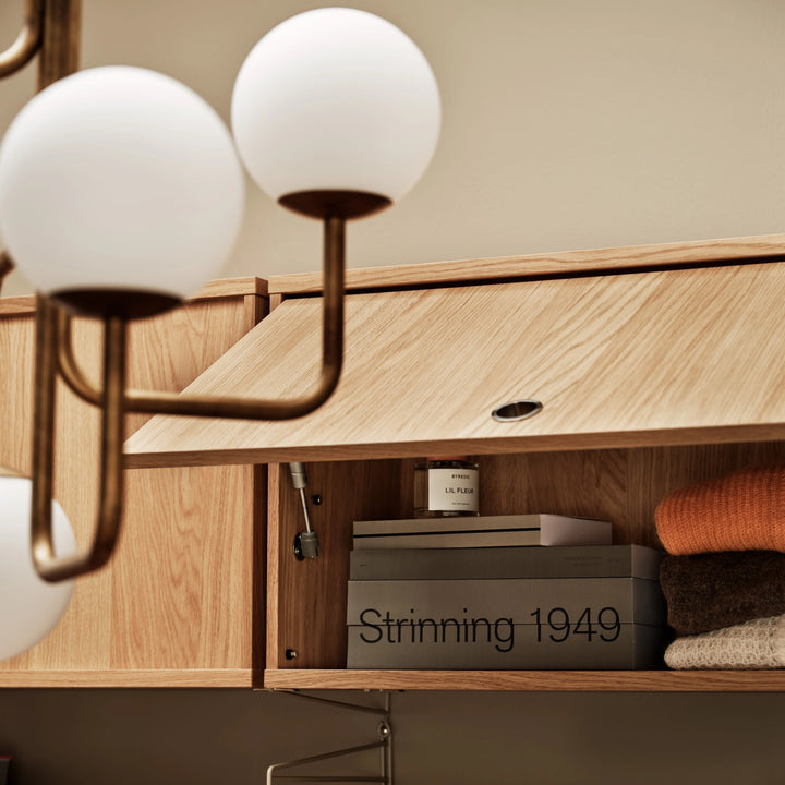 Cabinet with Flip Door