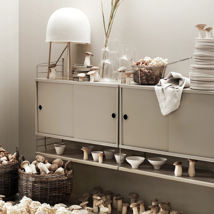 Cabinet with sliding door