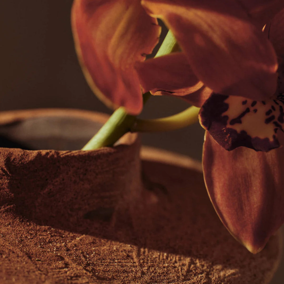 Evio Vase