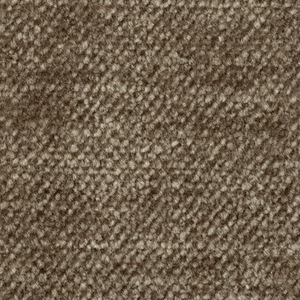 Faded Velvet - Beige