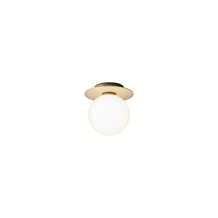 nordic-gold-opal
