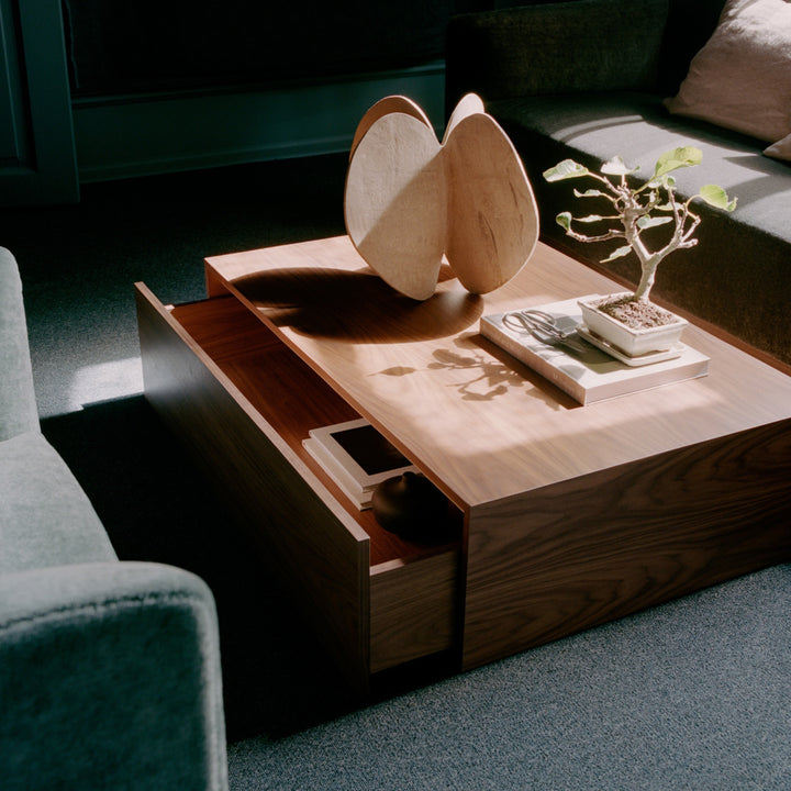Mass Wide Coffee Table with Drawer