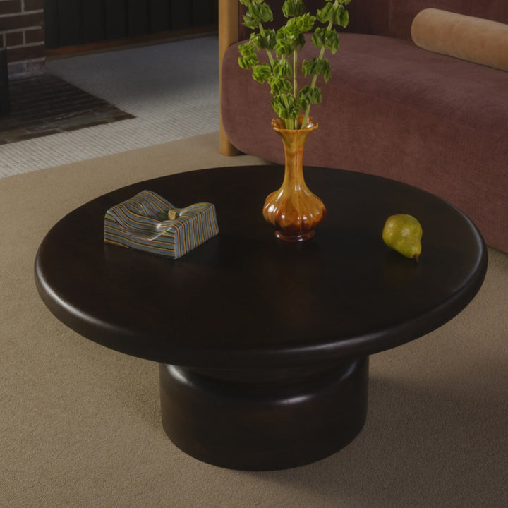 Phoenix Coffee Table
