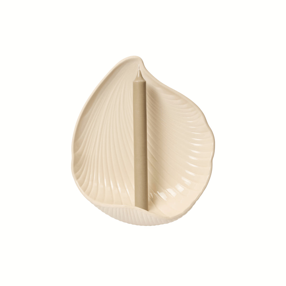 Shell Wall Candle Holder - Off-White