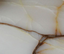 Shell Onyx
