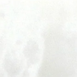 Amo White