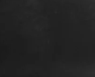 Baburu Black