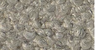 Barnum Bouclé 03