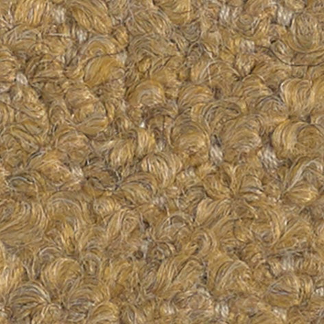 Barnum Bouclé 05