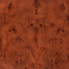 Mappa Burl