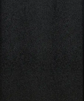 Carmen Black