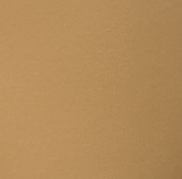 Stam Leather Side Chair