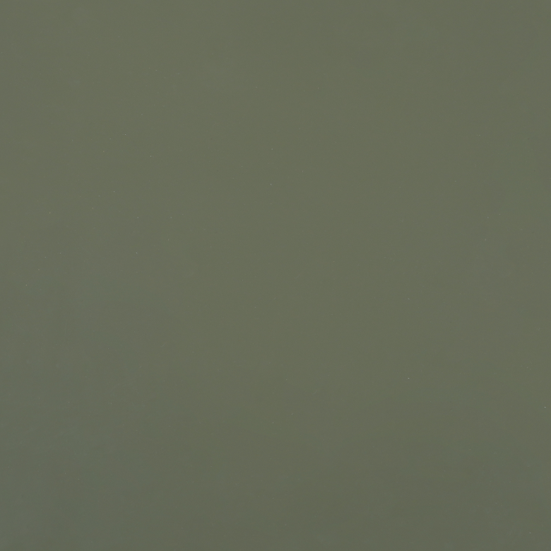 Deep Lichen Green