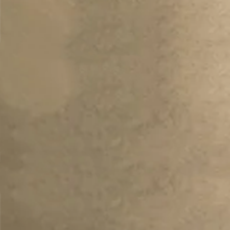 Duck Sand