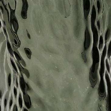 Ostrea Rock Glass Vase