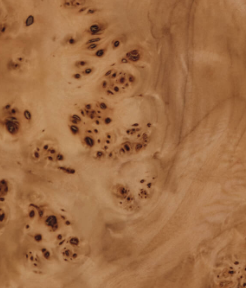 Natural Burl