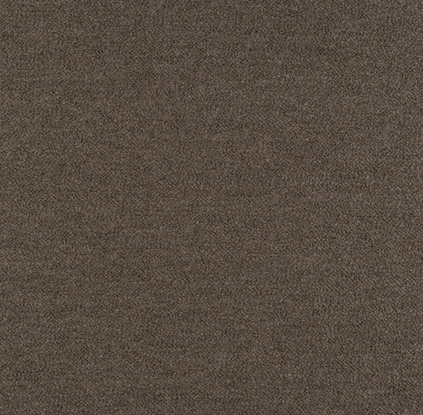 Nevotex Barnum 10 Dark Taupe