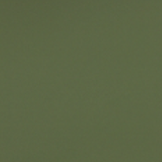 High Gloss Deep Lichen Green