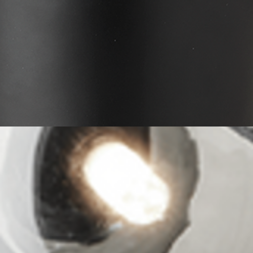 Apiales 9 Ceiling