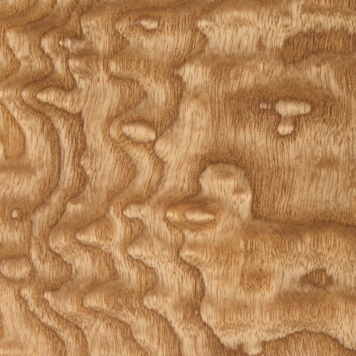 Tamo Ash Burl Veneer
