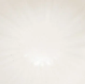 Tanpopo Appetizer Bowl - 3.5