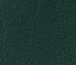 Tärnsjö Leather Green