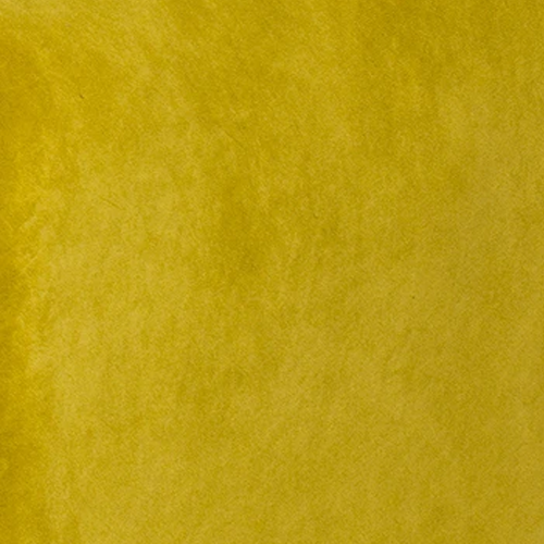 Turmeric Yellow