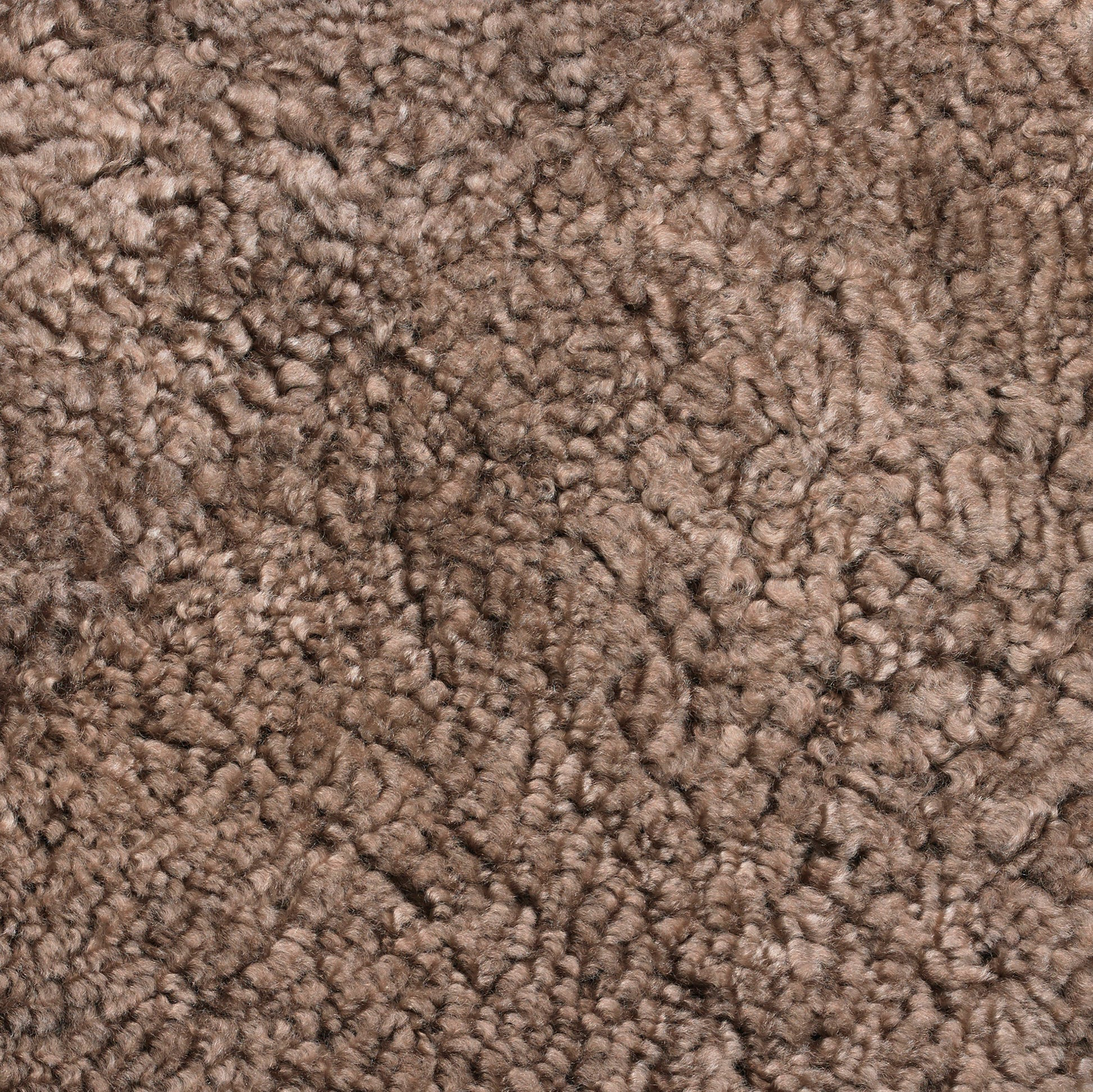 Walnut | Sahara