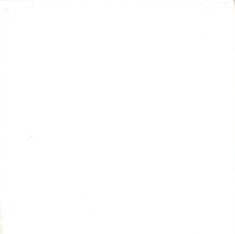 Mart Stam Cantilever Chair S33