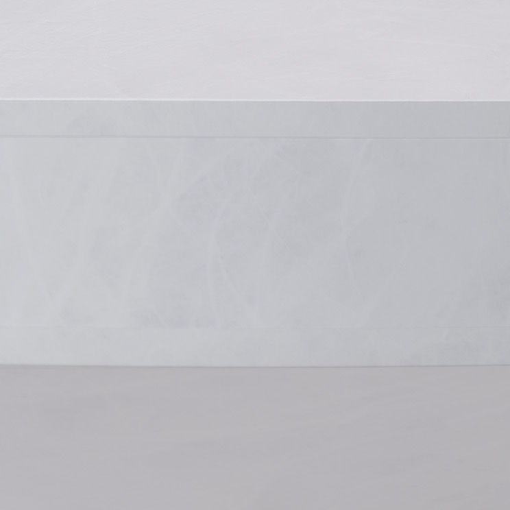 White Tyvek