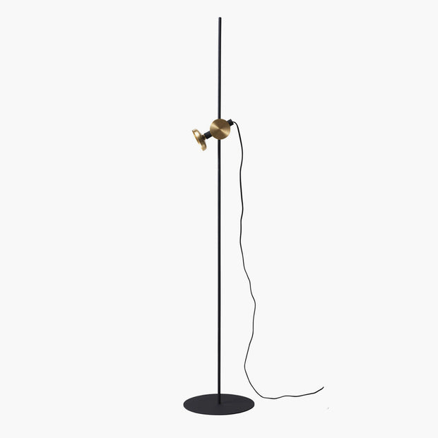 Floor Lamp Blend, Different Finishes
