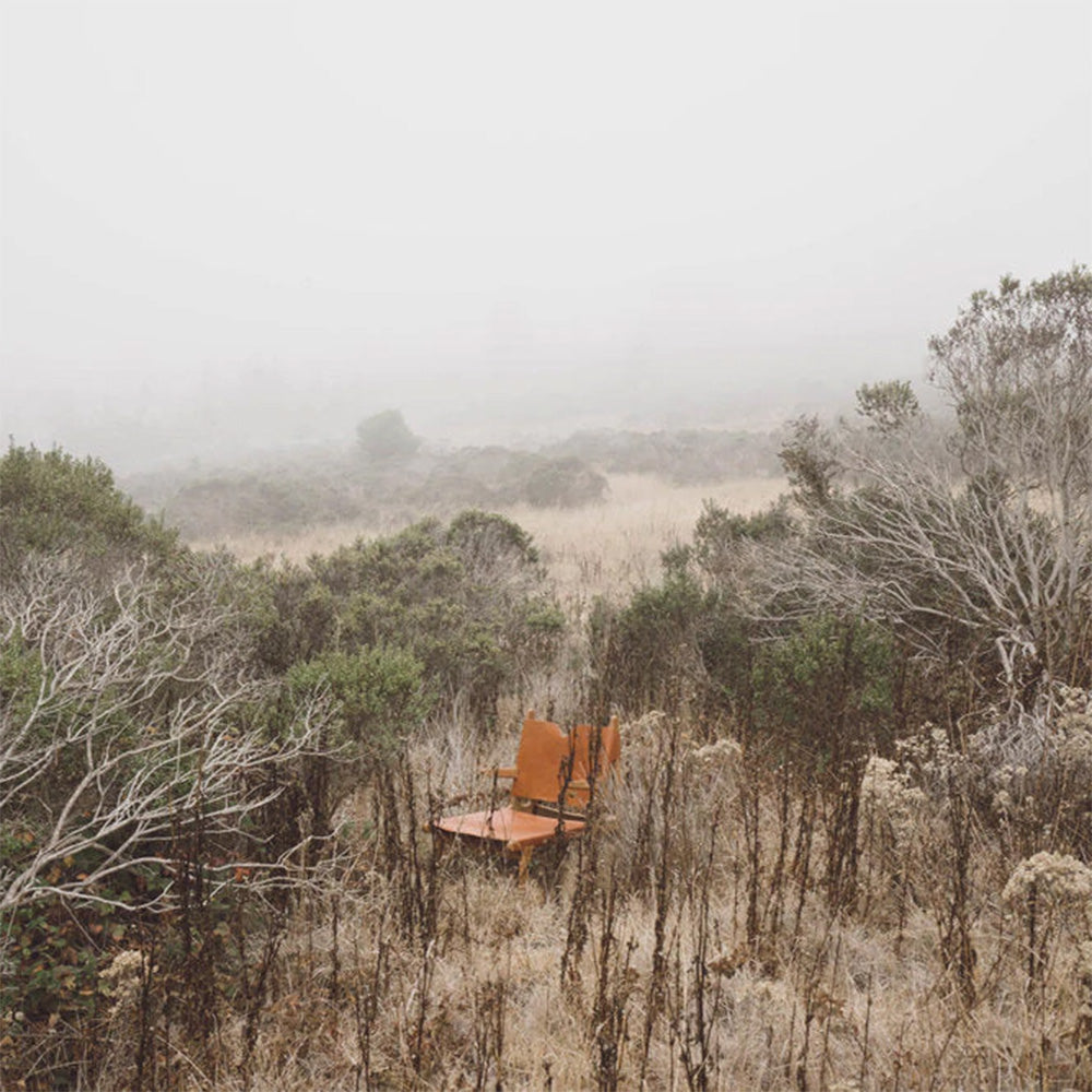 Plume Chair