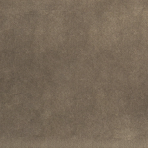 Taupe Velvet
