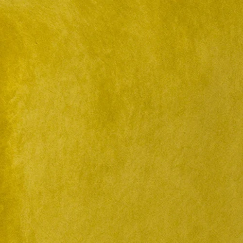 Turmeric Yellow